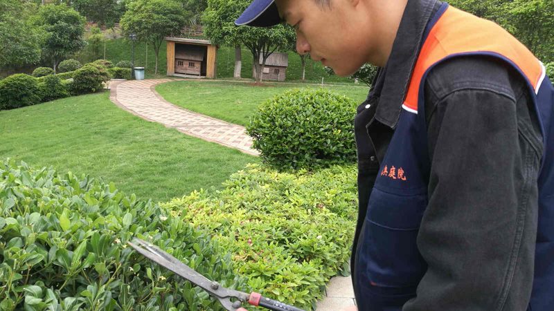 绿植租赁：价格与价值的平衡之道**