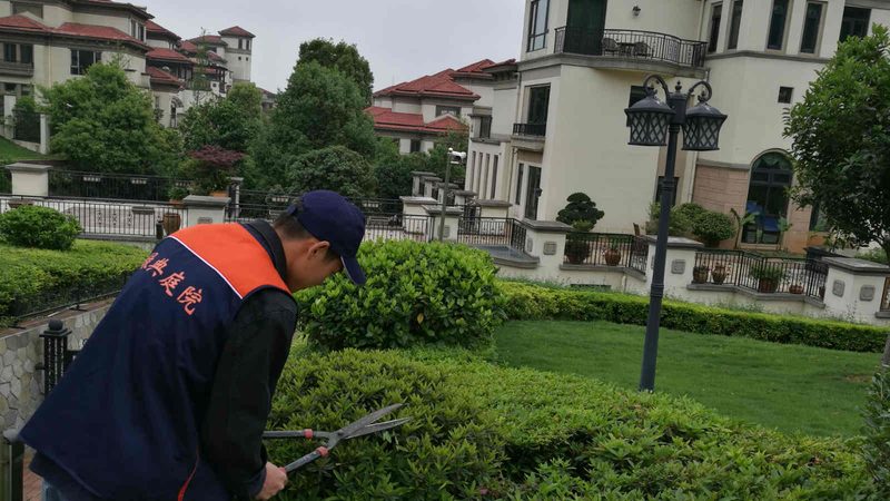 园林景观设计规范报价解析：关键要素与误区规避**