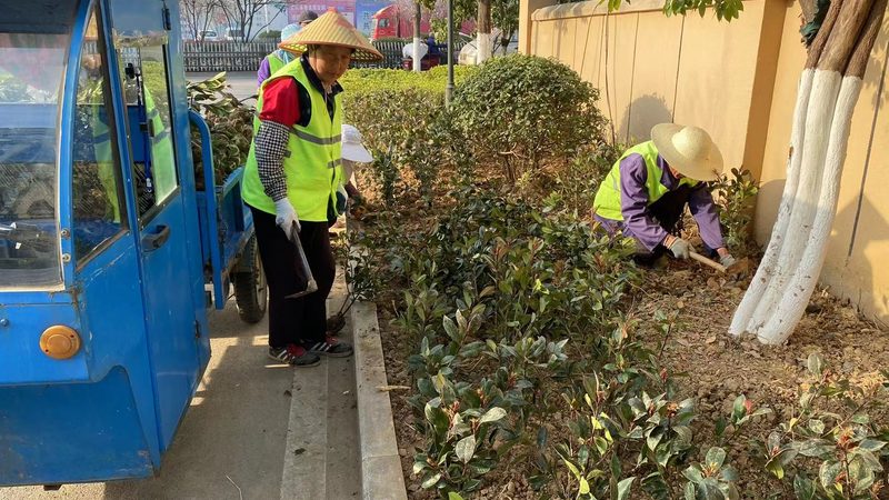 园林公司经营范围与建筑公司区别