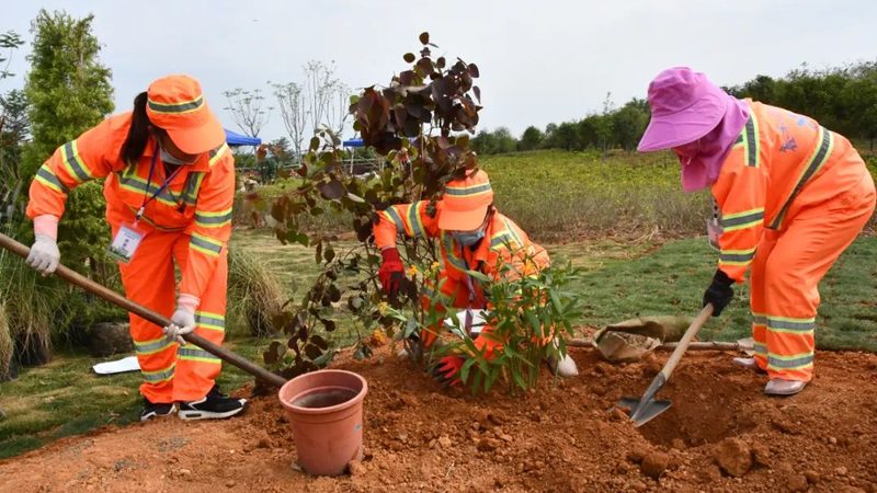 市政绿化施工资质加盟代理：加盟前需了解的关键点