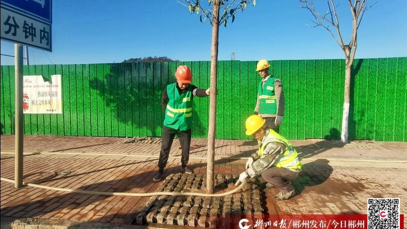 私家花园设计效果图与预算：从想象到落地的距离