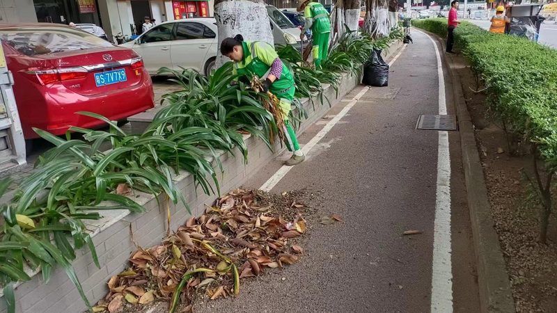 屋顶绿化草坪与普通草坪区别