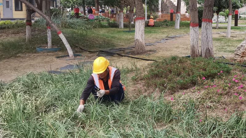 市政绿化施工资质加盟代理：加盟前需了解的关键点